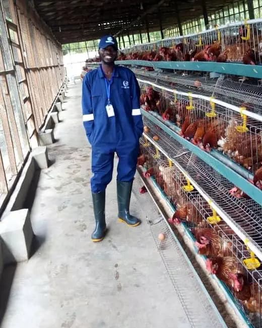 A team member in blue overalls and boots standing in the aisle of the laying house