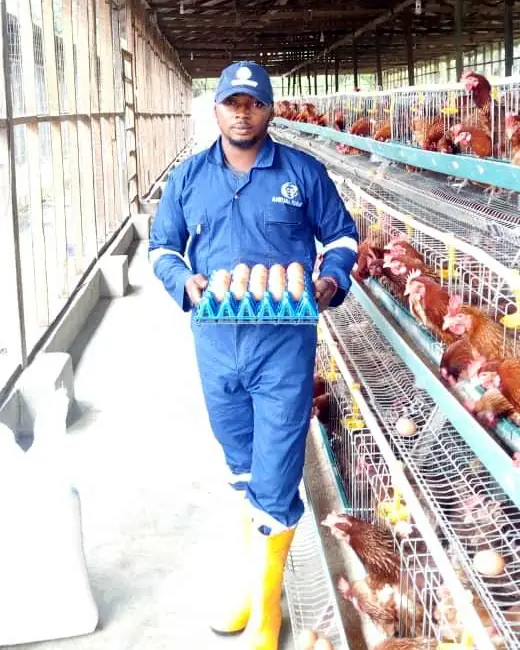 A team member in blue overalls carrying a tray of eggs